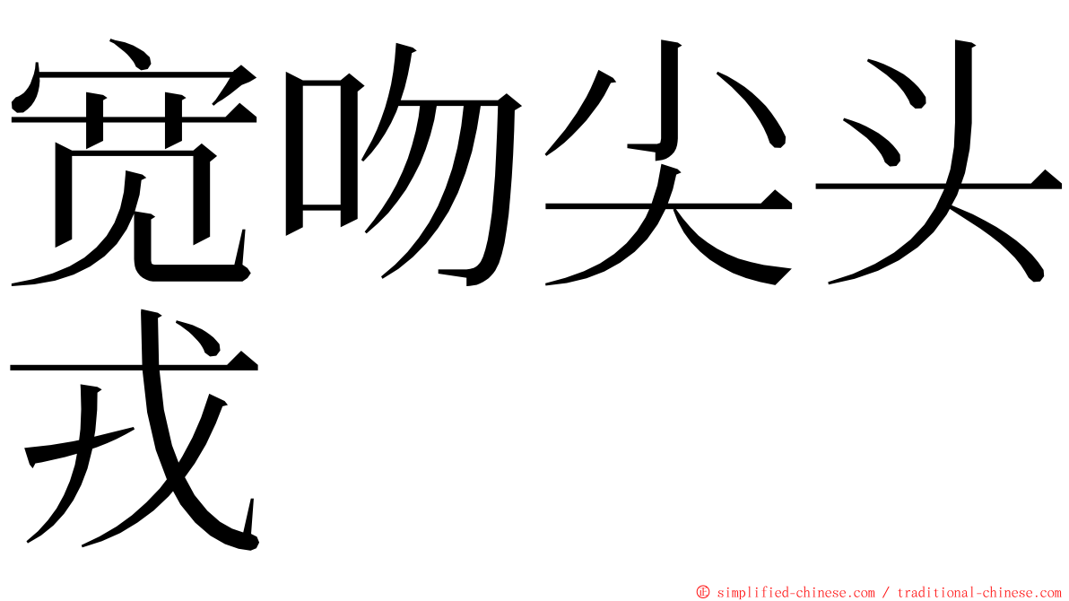 宽吻尖头戎 ming font