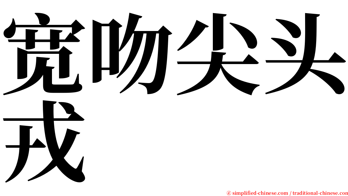 宽吻尖头戎 serif font