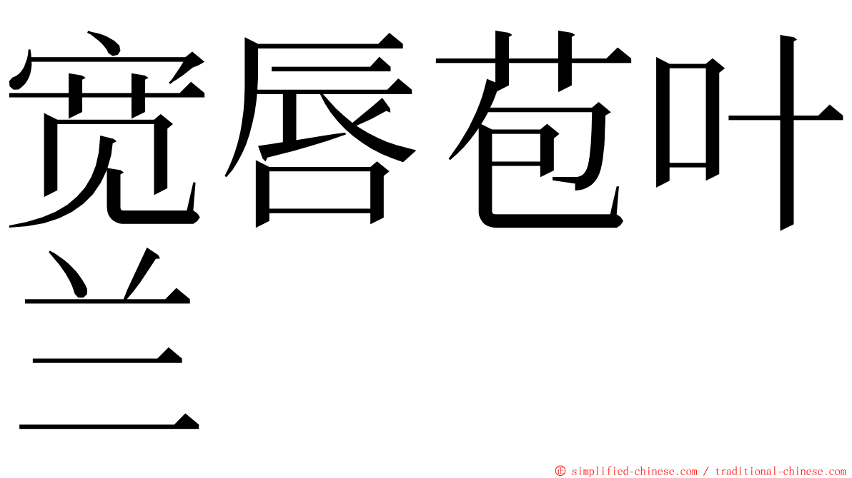 宽唇苞叶兰 ming font