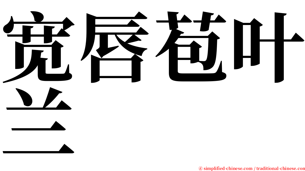 宽唇苞叶兰 serif font