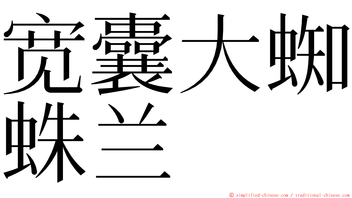 宽囊大蜘蛛兰 ming font