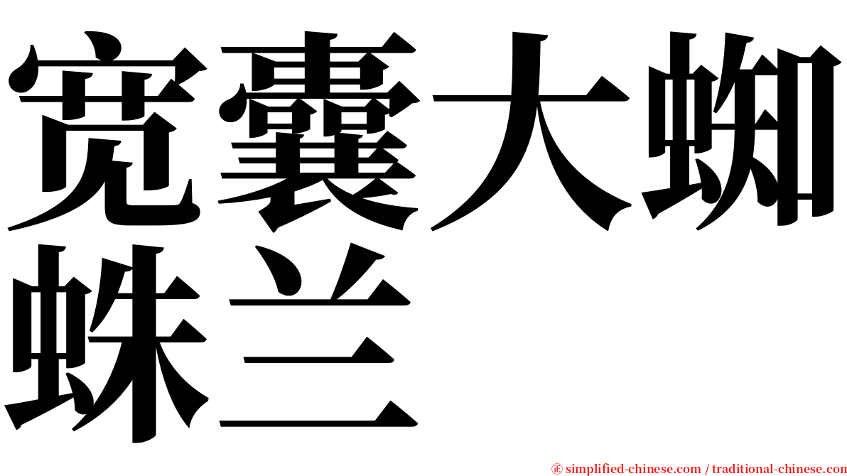 宽囊大蜘蛛兰 serif font