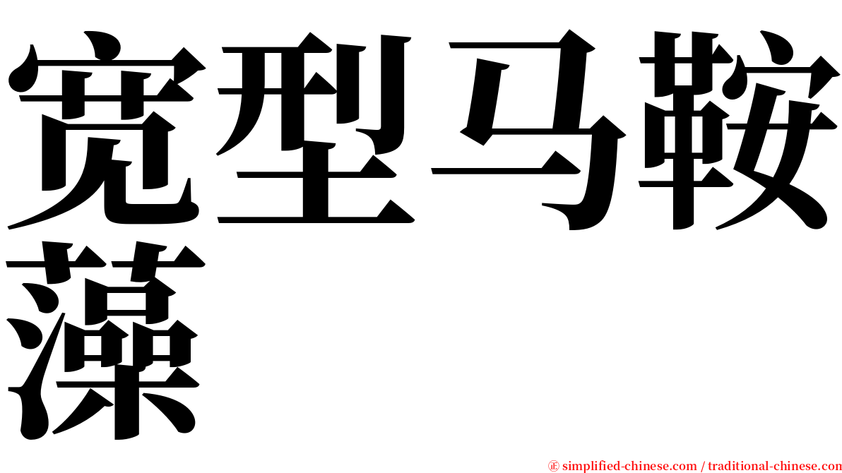 宽型马鞍藻 serif font