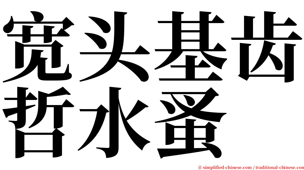 宽头基齿哲水蚤 serif font