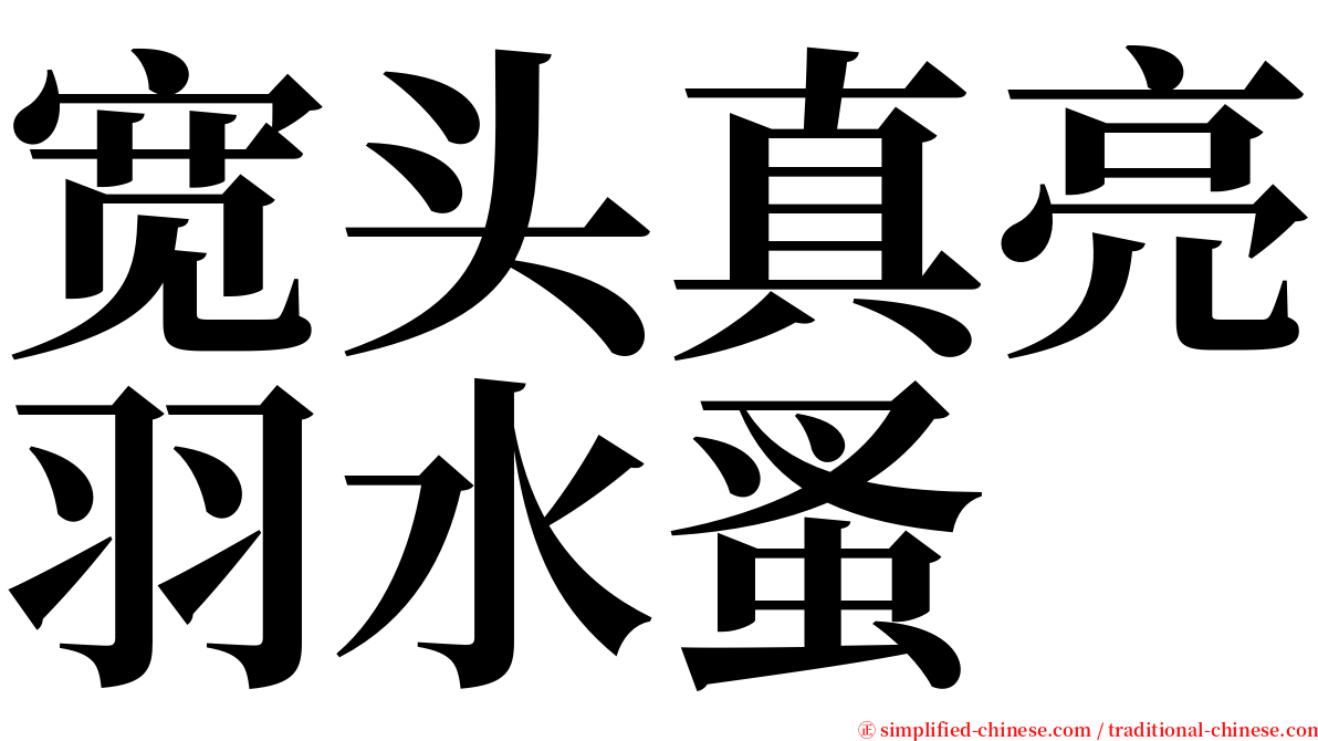 宽头真亮羽水蚤 serif font