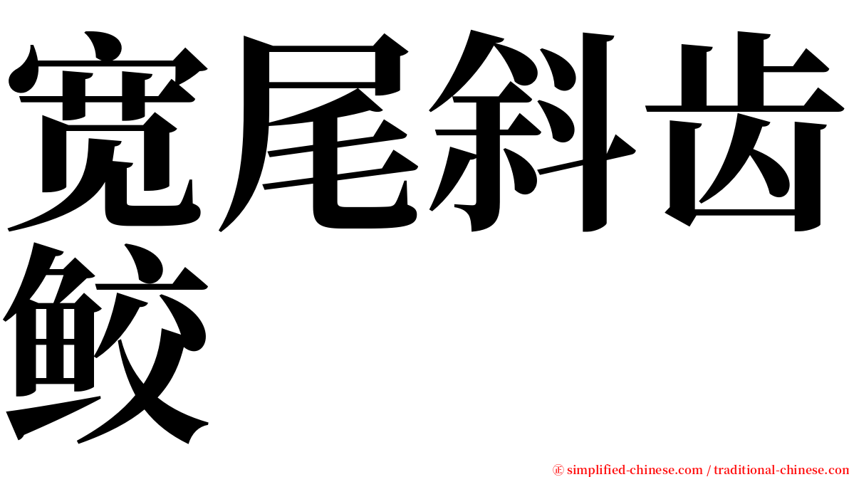 宽尾斜齿鲛 serif font