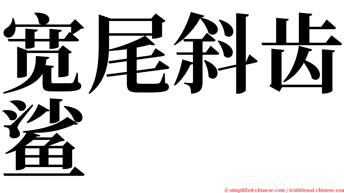 宽尾斜齿鲨 serif font