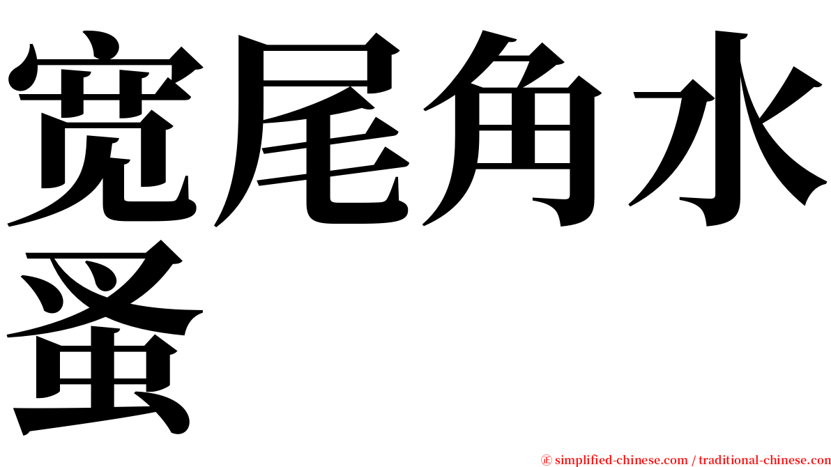 宽尾角水蚤 serif font