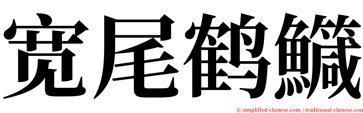 宽尾鹤鱵 serif font