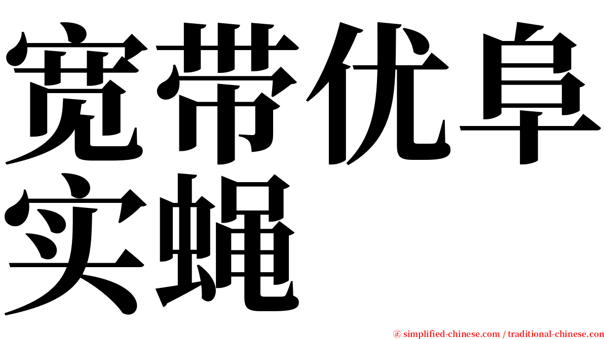 宽带优阜实蝇 serif font