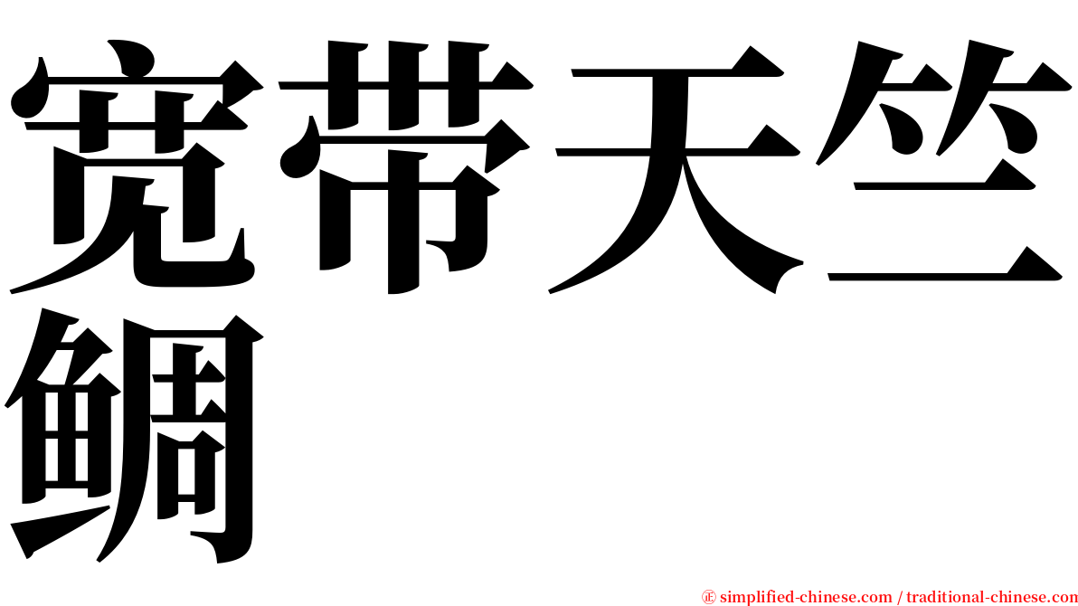 宽带天竺鲷 serif font