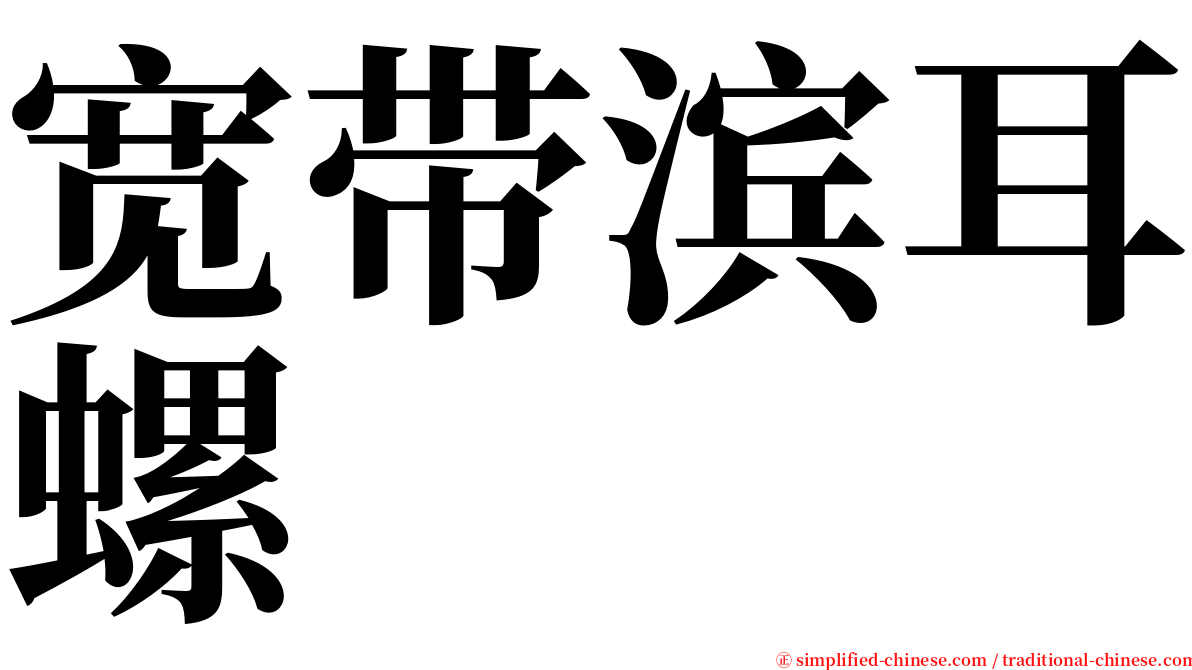 宽带滨耳螺 serif font