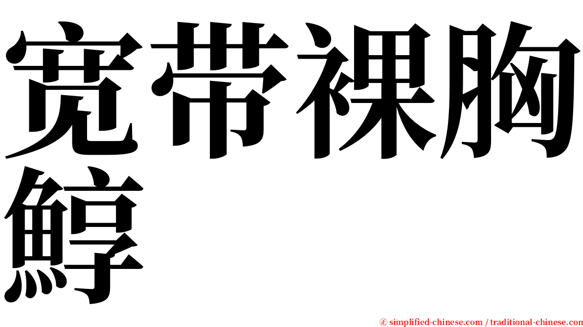 宽带裸胸鯙 serif font