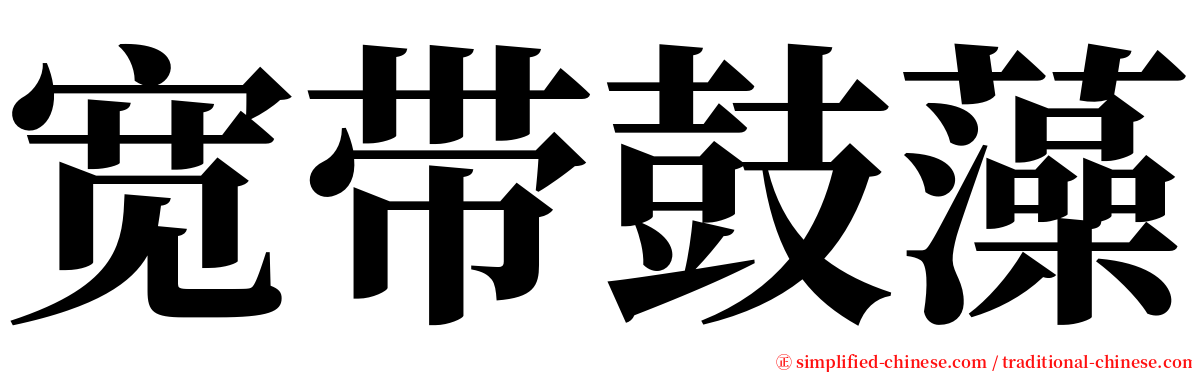 宽带鼓藻 serif font