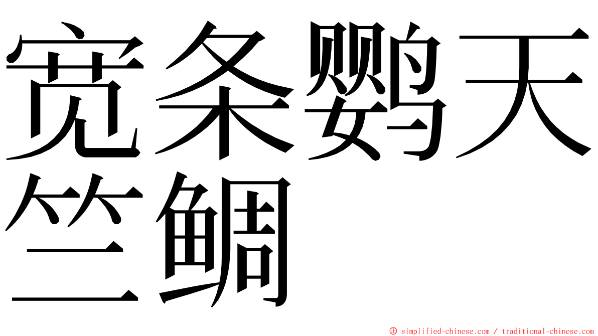 宽条鹦天竺鲷 ming font