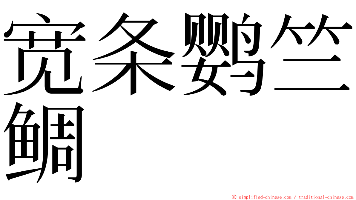 宽条鹦竺鲷 ming font