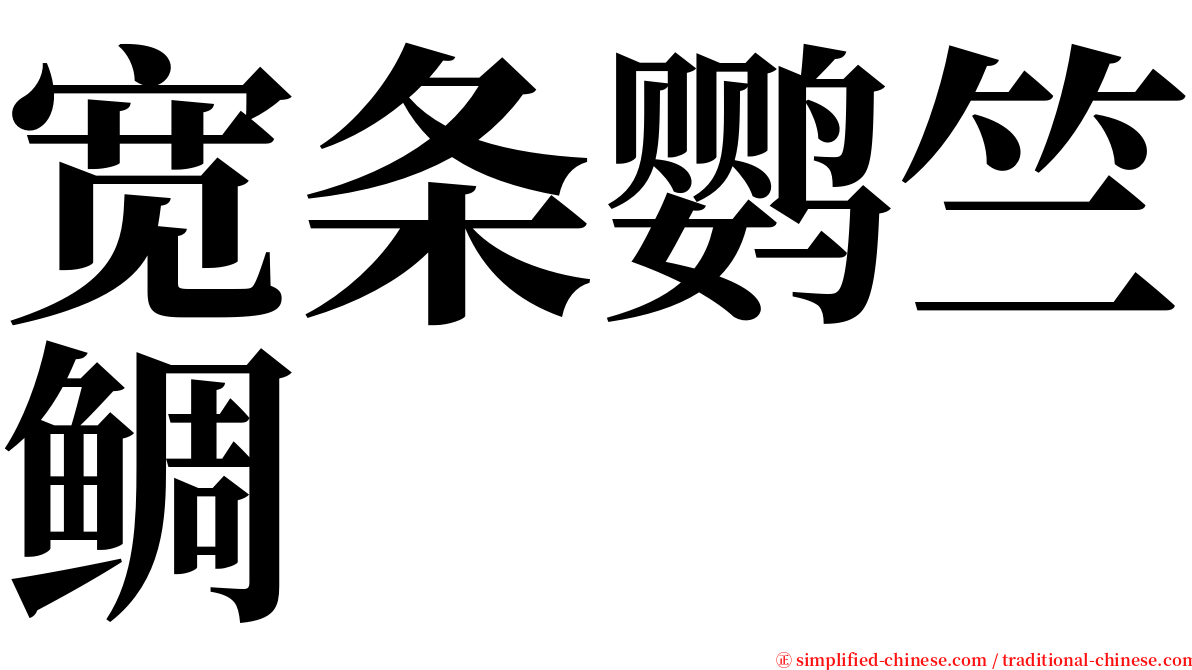 宽条鹦竺鲷 serif font