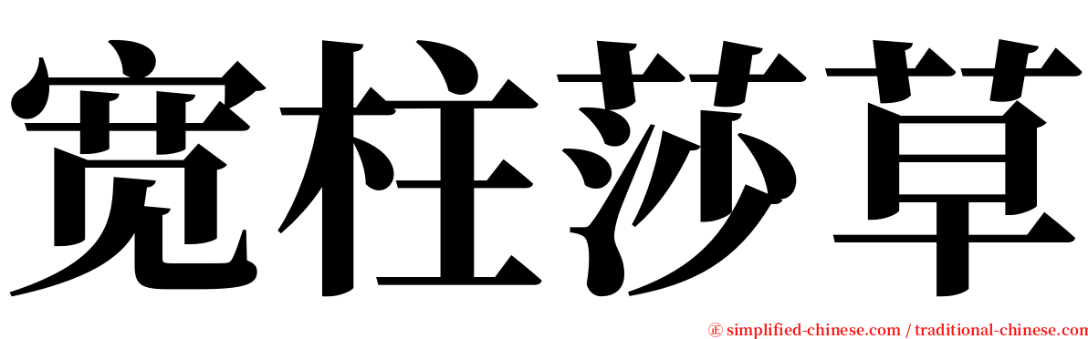 宽柱莎草 serif font