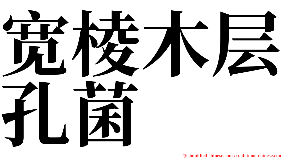 宽棱木层孔菌 serif font