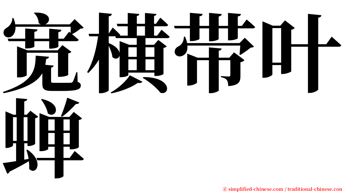 宽横带叶蝉 serif font