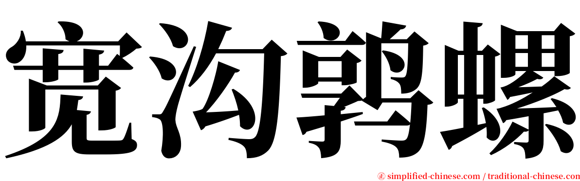 宽沟鹑螺 serif font