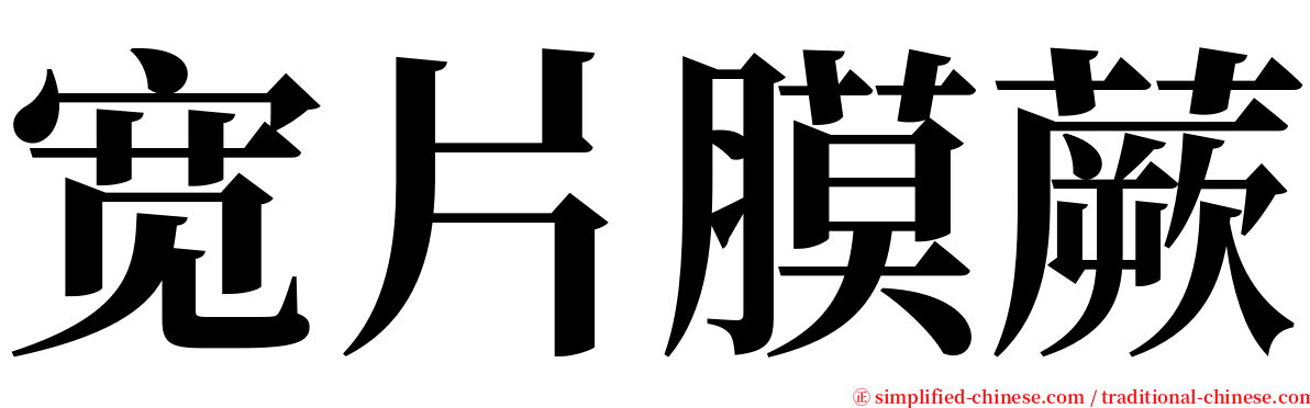 宽片膜蕨 serif font