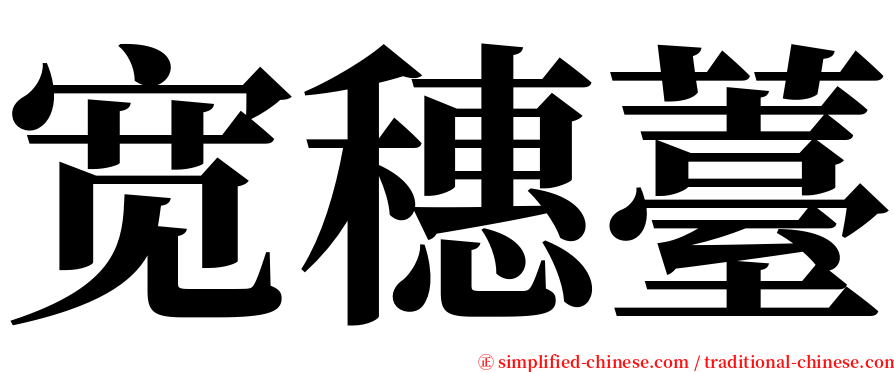 宽穗薹 serif font