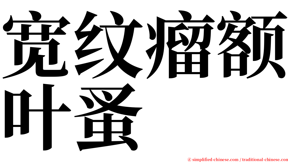 宽纹瘤额叶蚤 serif font