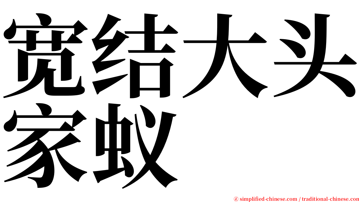 宽结大头家蚁 serif font