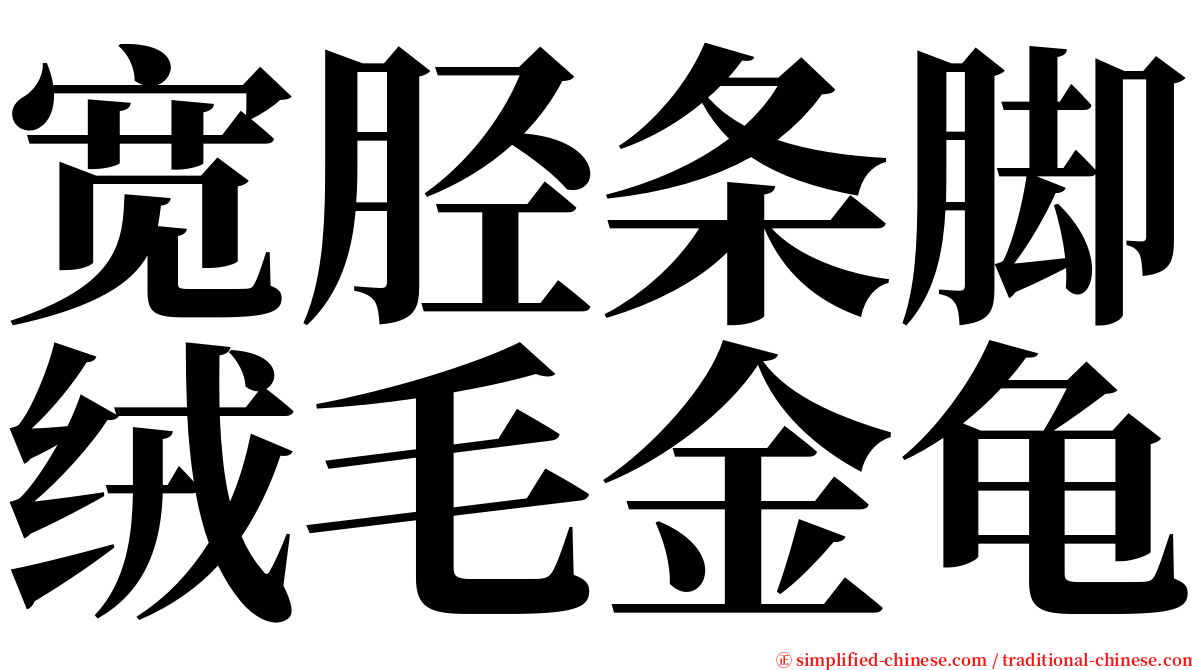 宽胫条脚绒毛金龟 serif font