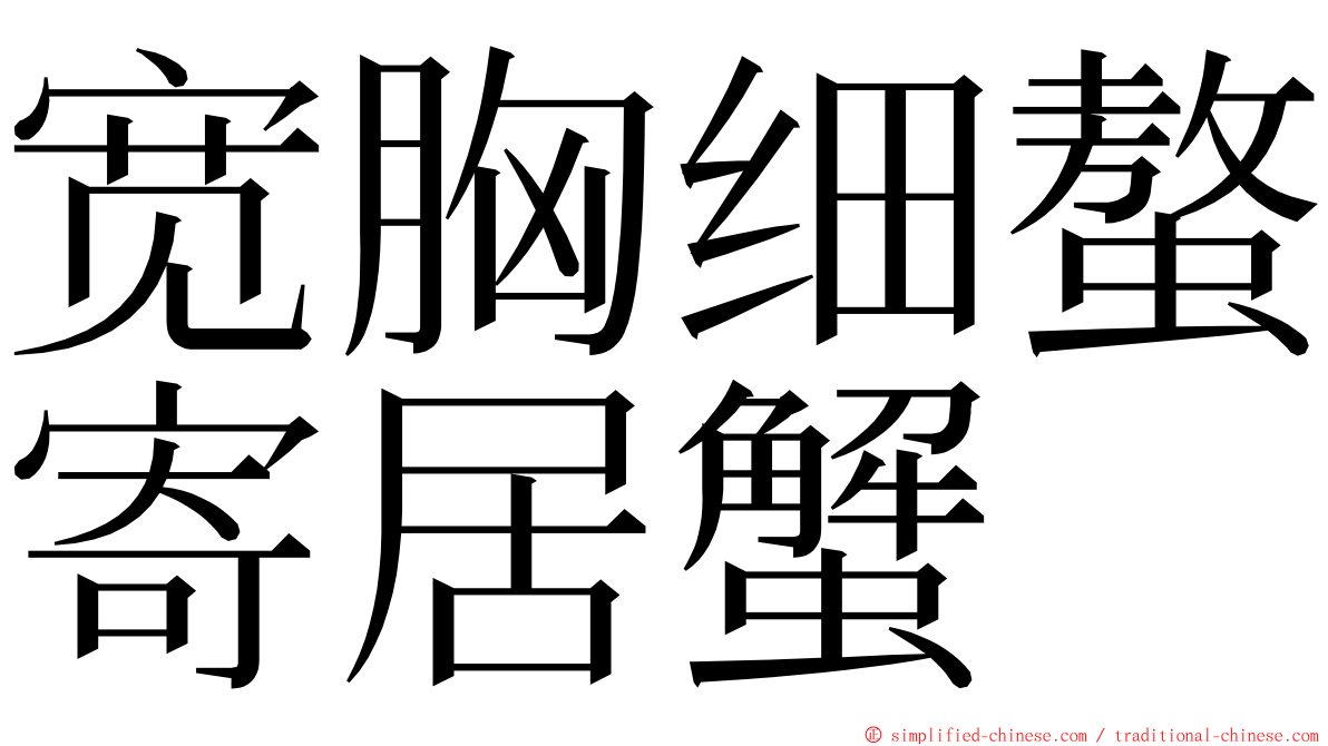 宽胸细螯寄居蟹 ming font