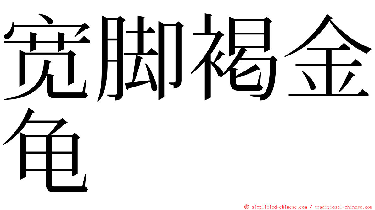 宽脚褐金龟 ming font