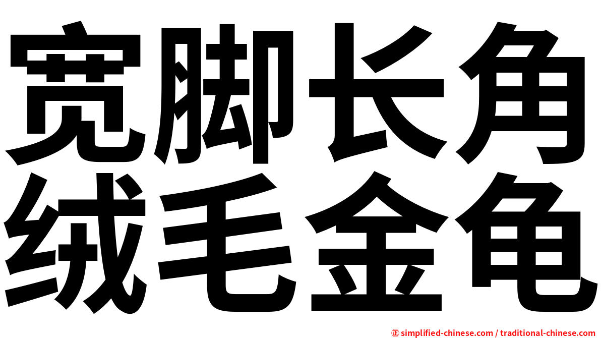 宽脚长角绒毛金龟