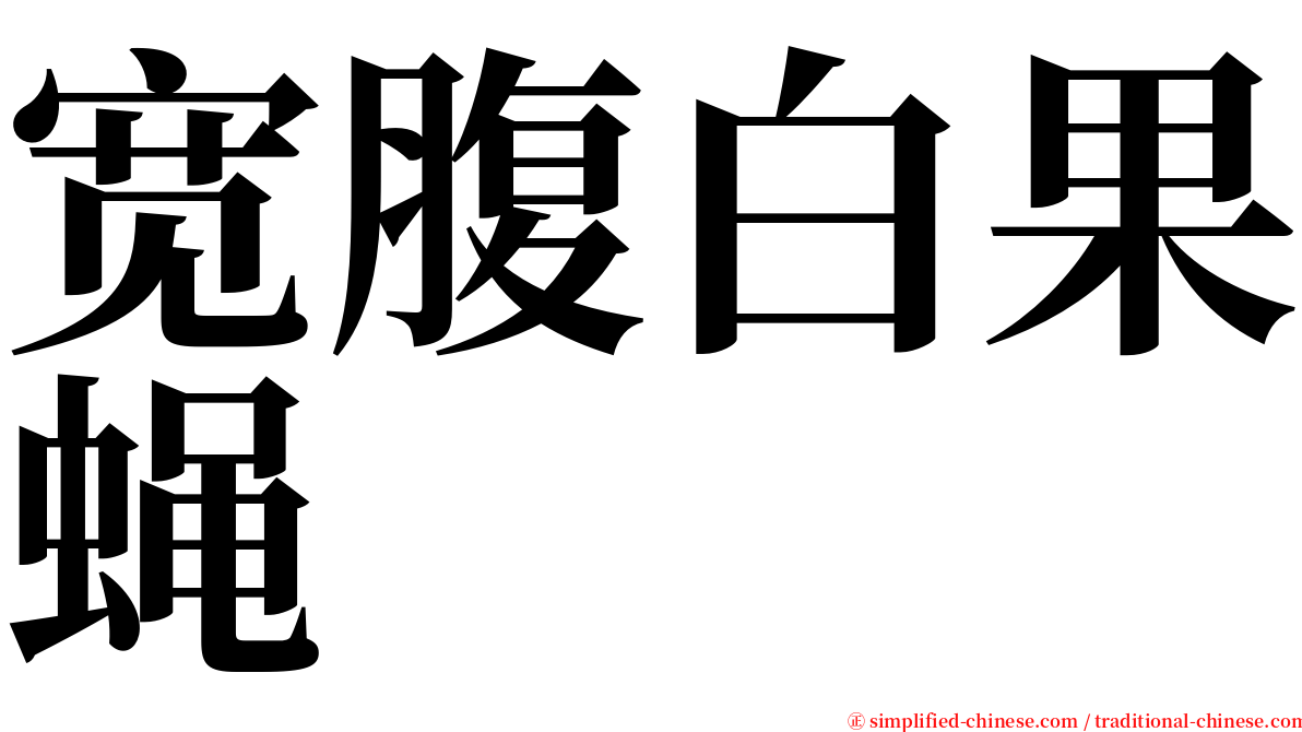 宽腹白果蝇 serif font