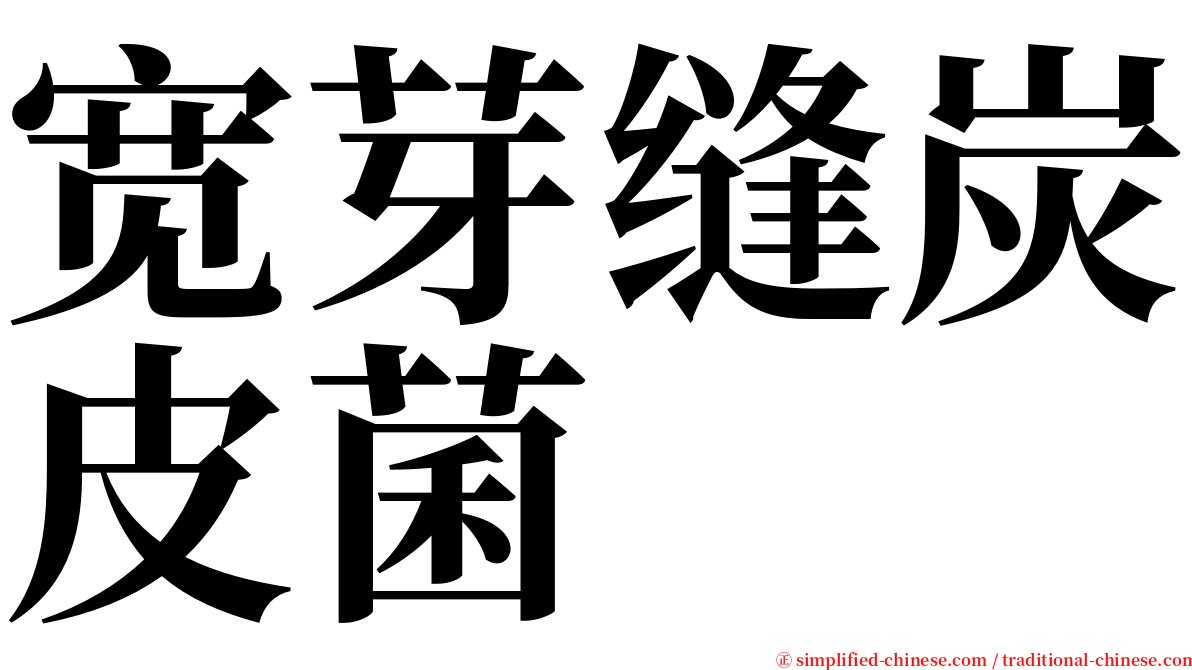 宽芽缝炭皮菌 serif font