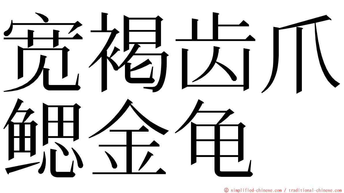 宽褐齿爪鳃金龟 ming font