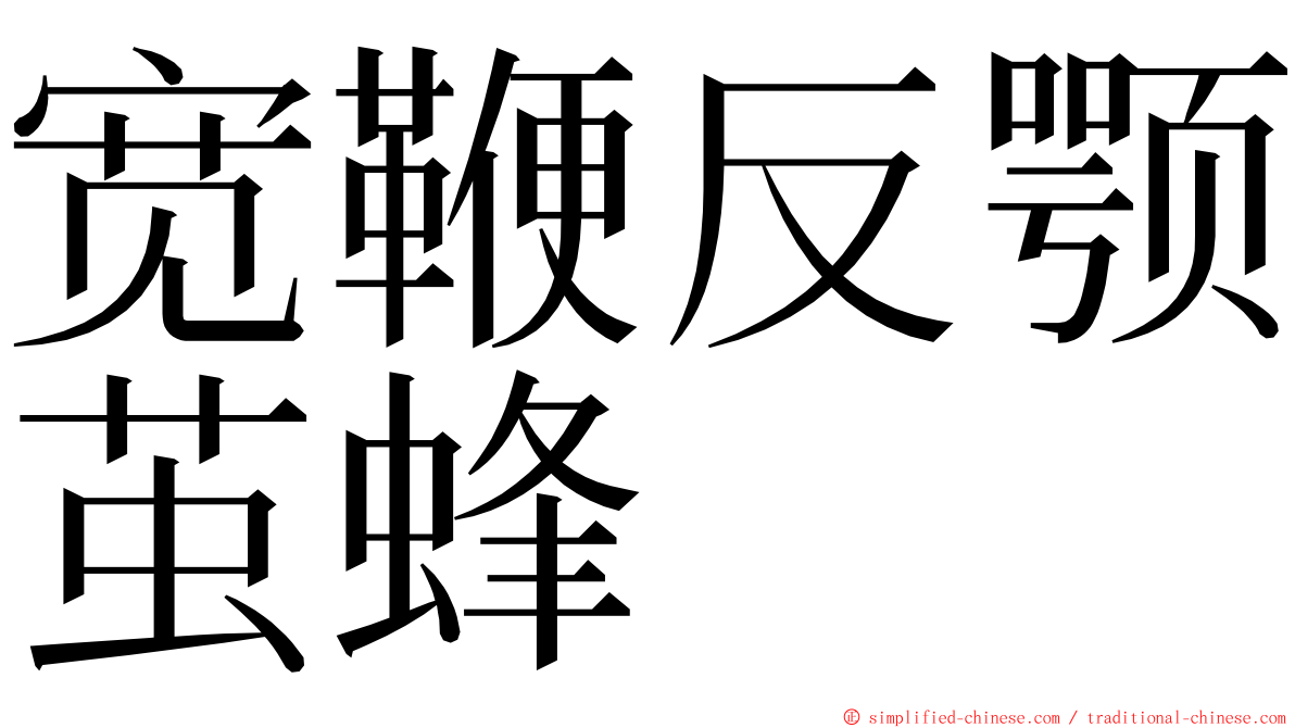 宽鞭反颚茧蜂 ming font