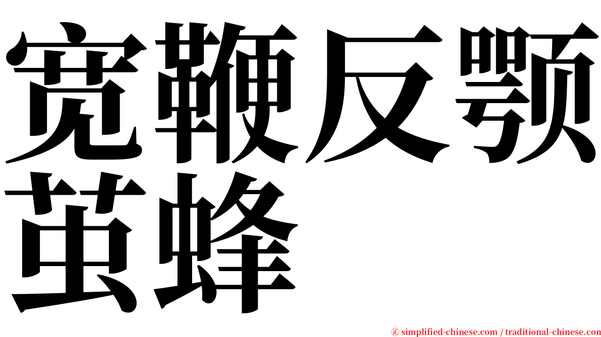 宽鞭反颚茧蜂 serif font