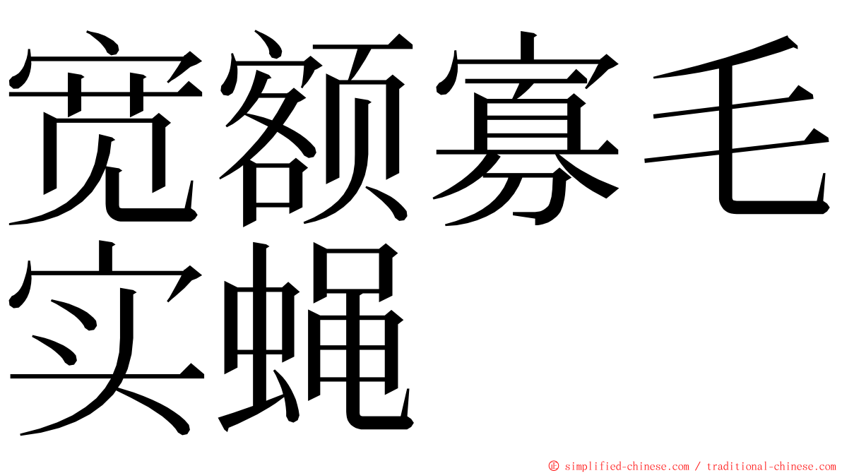 宽额寡毛实蝇 ming font