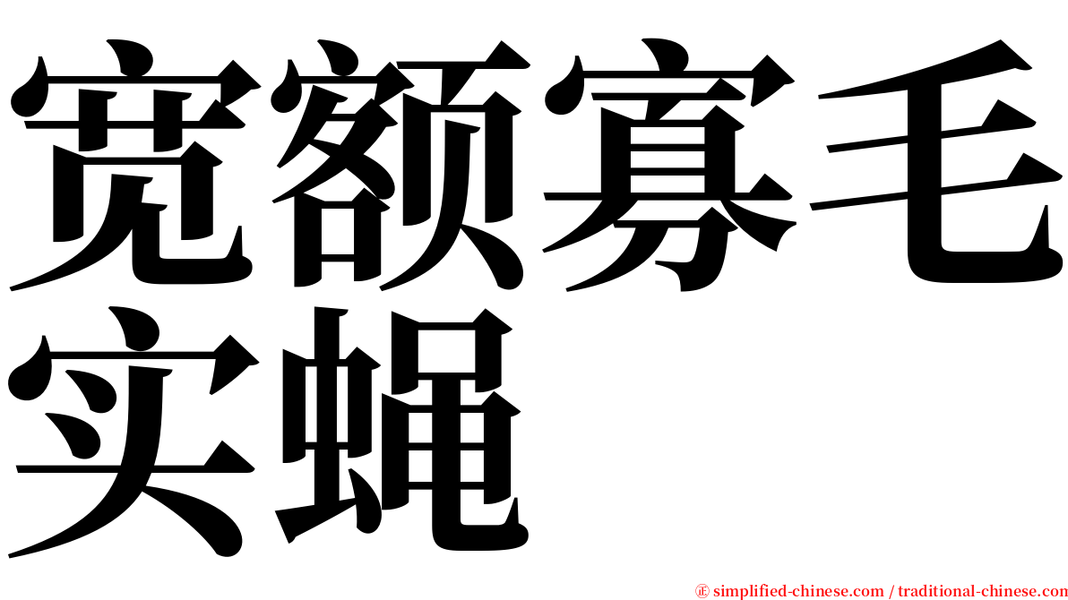 宽额寡毛实蝇 serif font