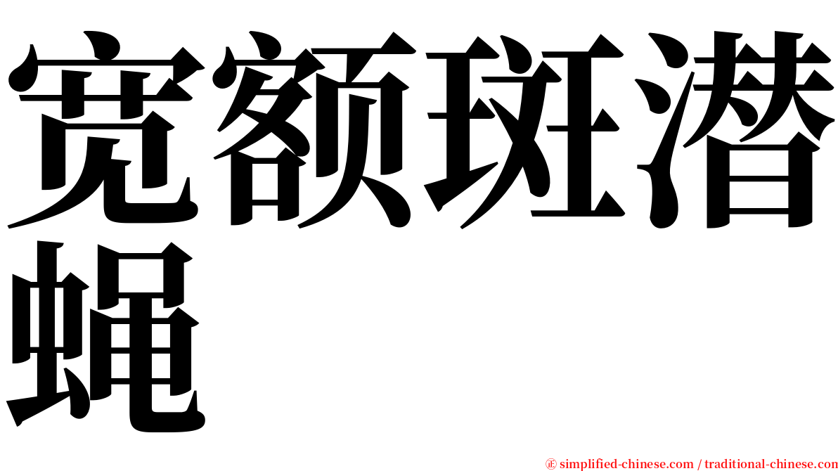 宽额斑潜蝇 serif font