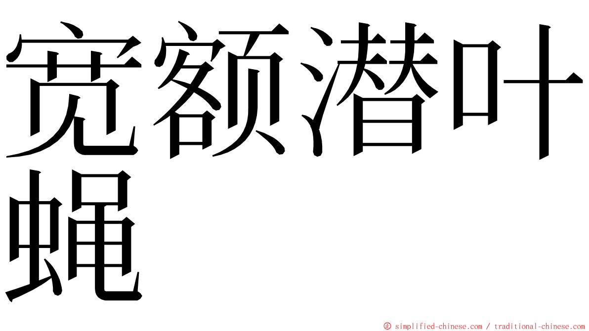 宽额潜叶蝇 ming font