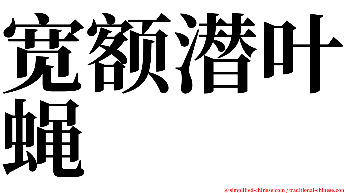 宽额潜叶蝇 serif font