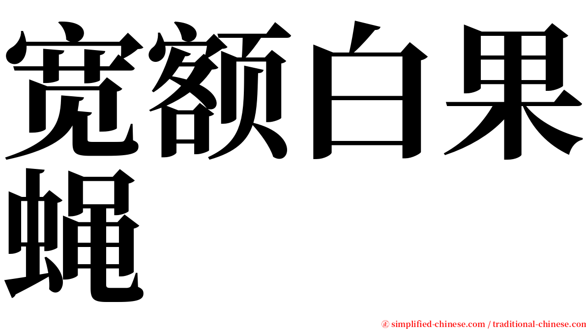 宽额白果蝇 serif font