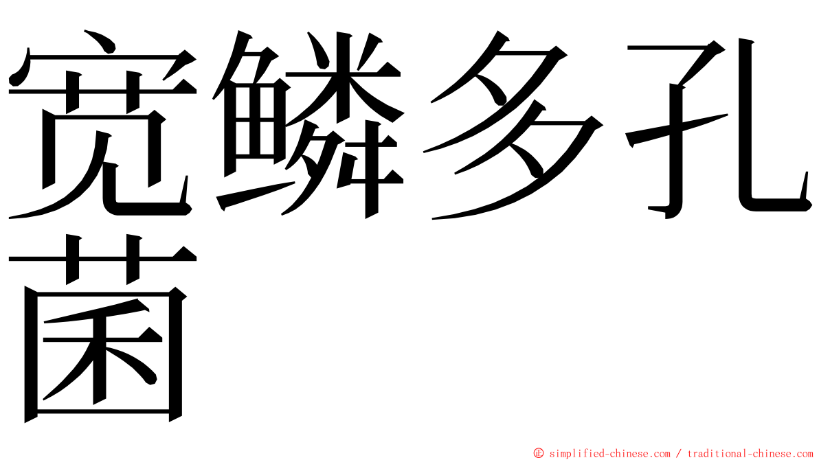 宽鳞多孔菌 ming font