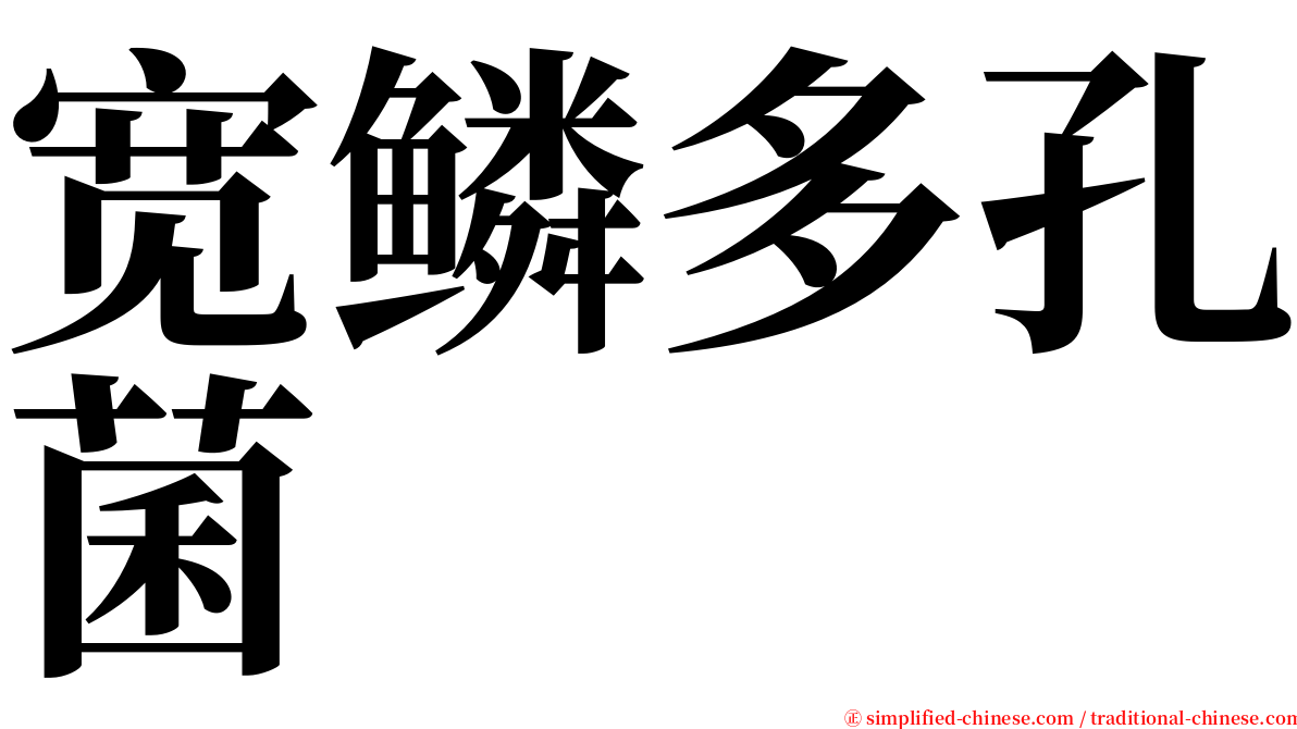 宽鳞多孔菌 serif font