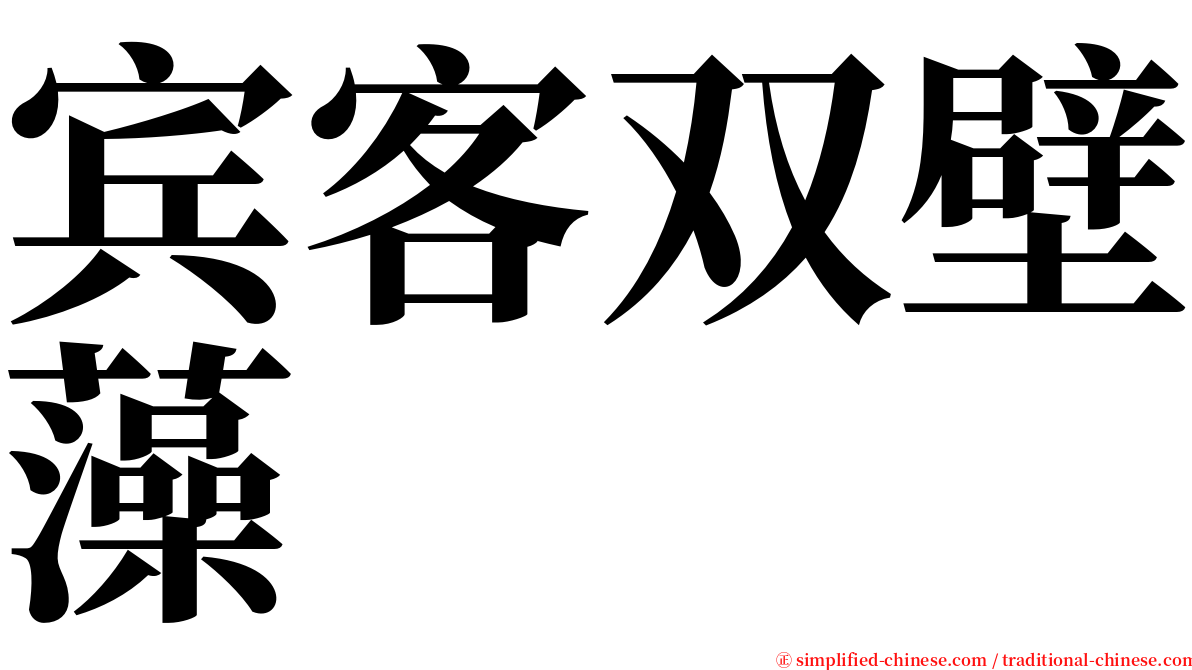 宾客双壁藻 serif font