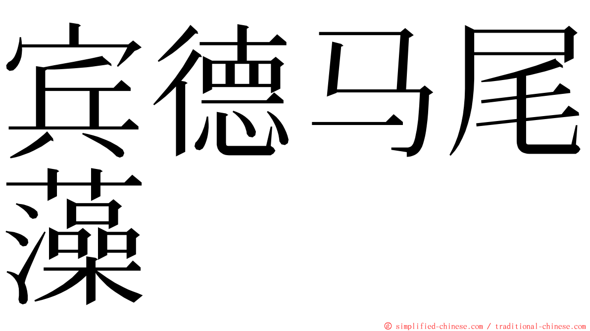 宾德马尾藻 ming font