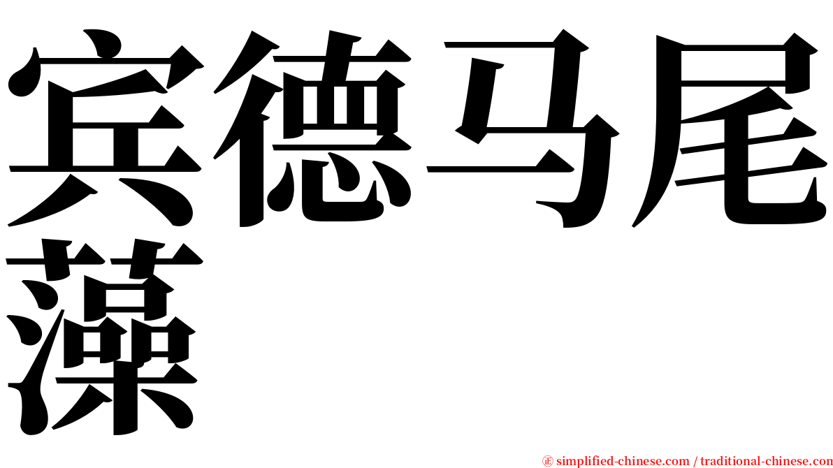 宾德马尾藻 serif font