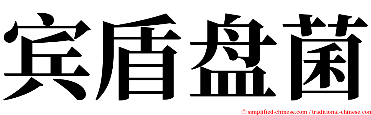 宾盾盘菌 serif font